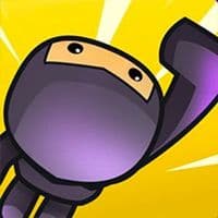 Incredible Ninja